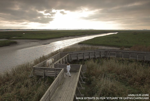 Image extaite du film ESTUAIRE de Gaëtan Chataigner