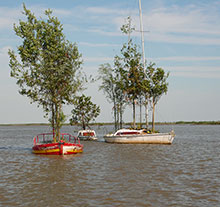 Oeuvre L’île flottante de Fabrice Hyber