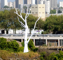 Oeuvre Lunar tree de MRZYK ET MORICEAU